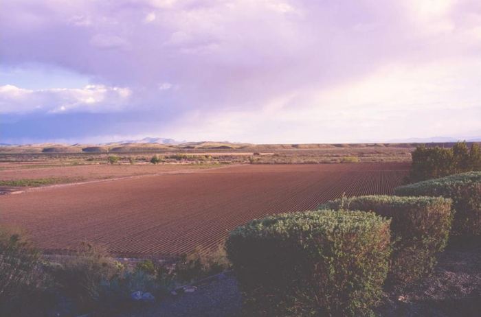 Freshly plowed field beneath a purple storm sky